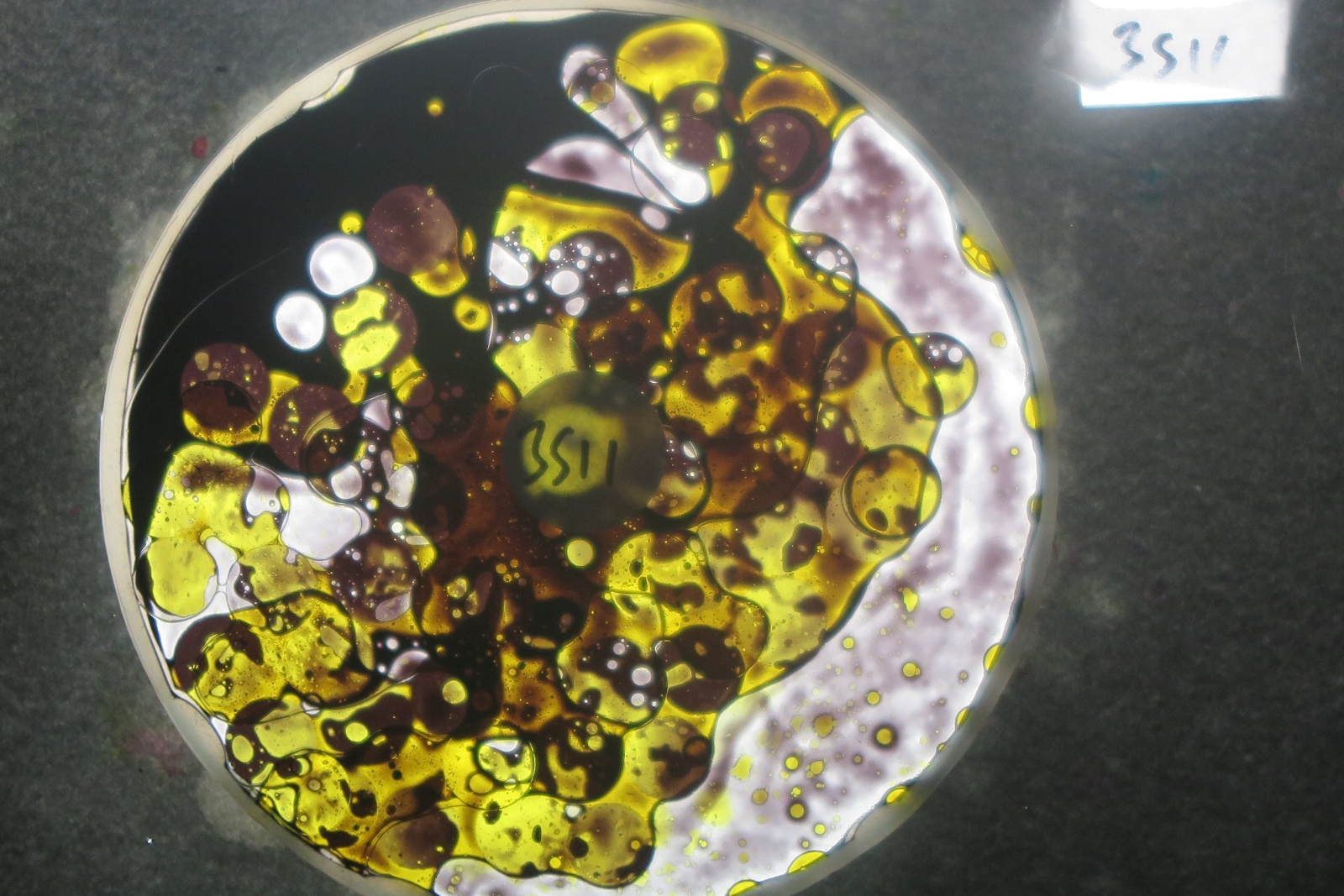 BV3511 bubble vision oil wheel